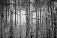 BS-Visite-7382.jpg_ALT