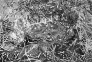 BS-Visite-7390.jpg_ALT