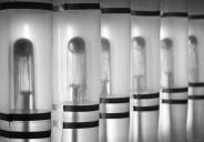 BS-Visite-7413.jpg_ALT