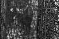 BS-Visite-7438.jpg_ALT