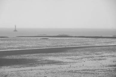 Bild: Alles-Ebbe-in-Esbjerg