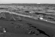 Strand-und-Meer-bei-Abendsonne.jpg_ALT