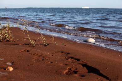 Bild: Strand-und-Meer-bei-Abendsonne
