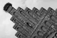 Storchennest.jpg_ALT