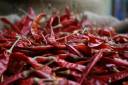 Chilli-VIEL-Chilli.jpg_ALT