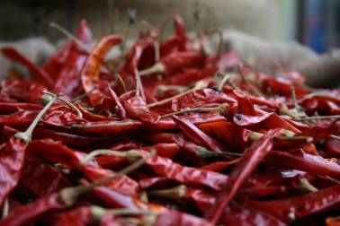 Bild: Chilli-VIEL-Chilli