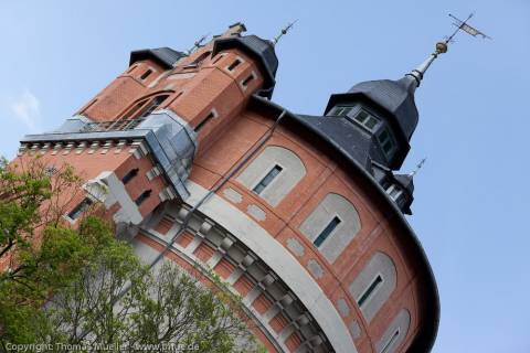 tmue-104.jpg_ALT