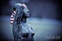 EOS_5D_MK2_2885.jpg_ALT